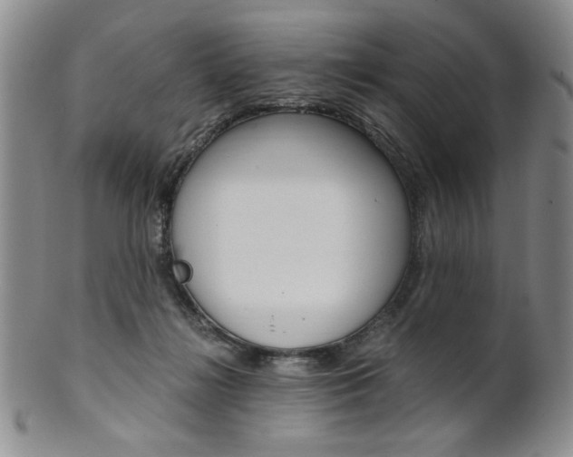 X0000101680268200807101151