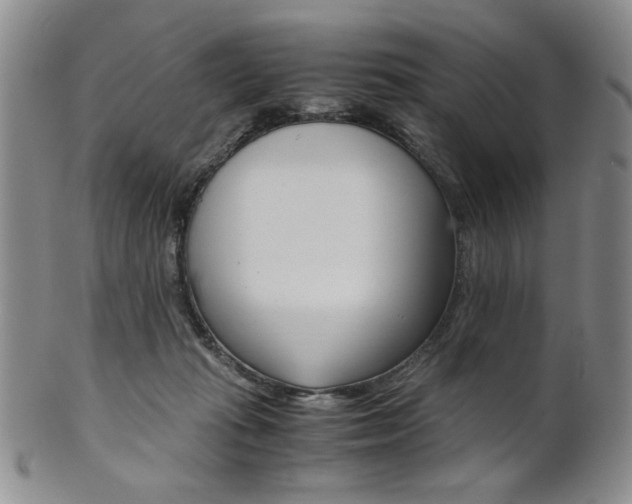 X0000101680269200807101151