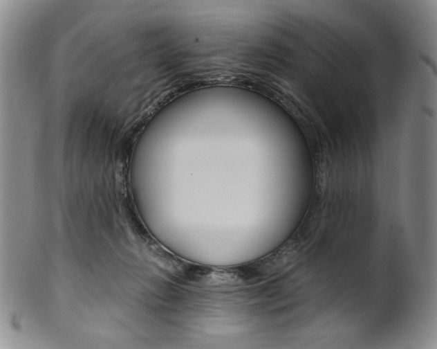 X0000101680270200807101151