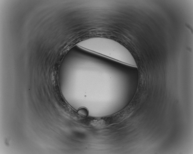 X0000101680271200807101151