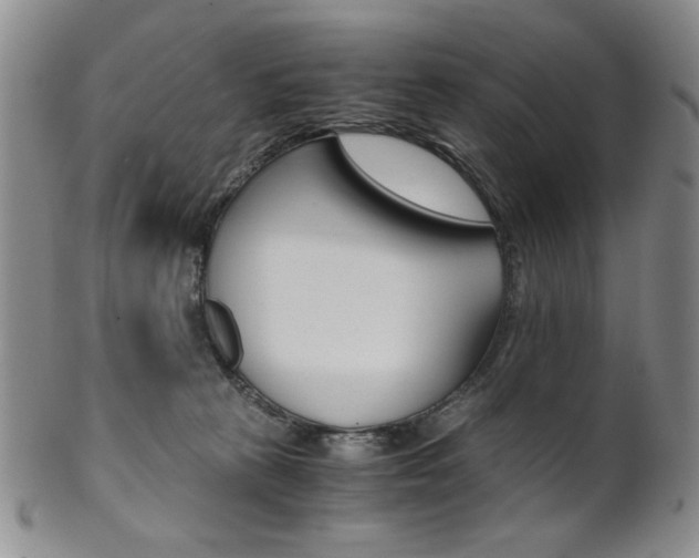 X0000101680273200807101151