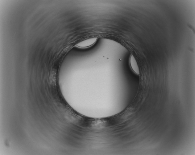 X0000101680274200807101151