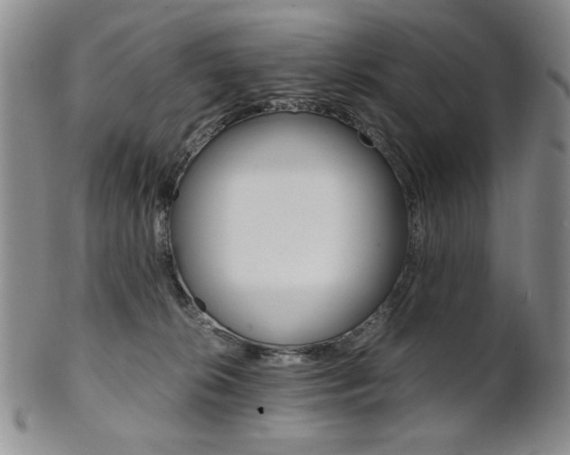 X0000101680276200807101151