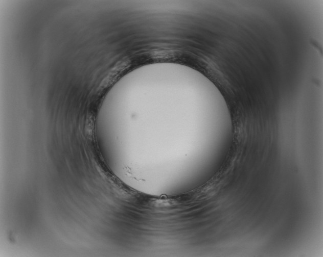 X0000101680277200807101151