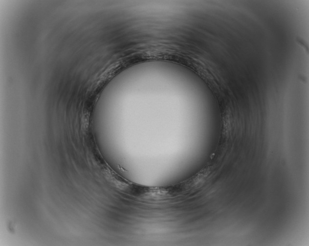 X0000101680278200807101151