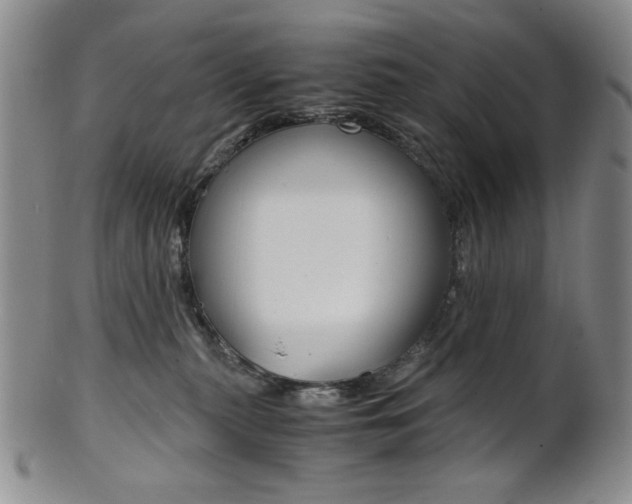 X0000101680279200807101151