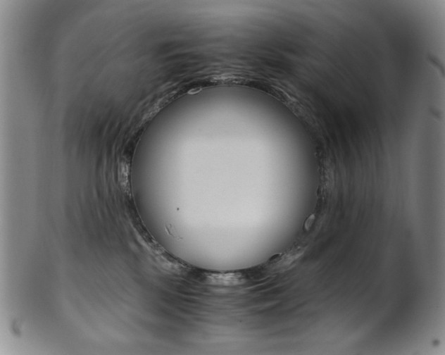 X0000101680281200807101151