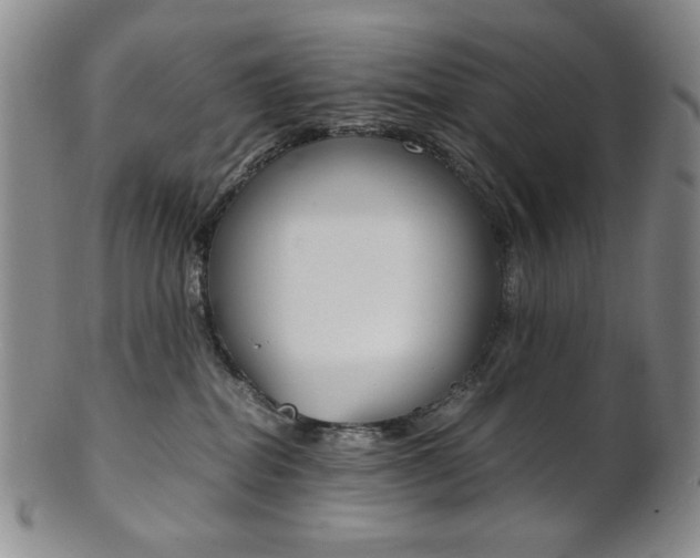 X0000101680282200807101151