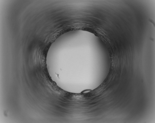 X0000101680283200807101151