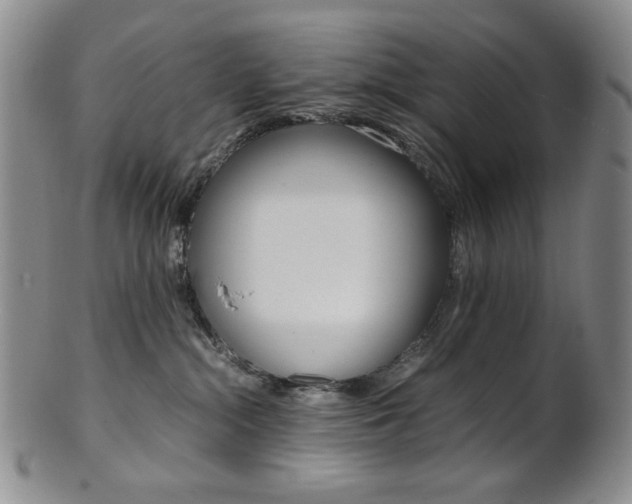 X0000101680284200807101151