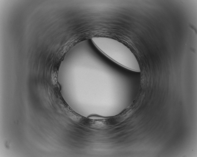 X0000101680285200807101151