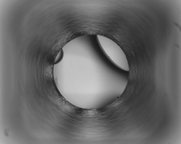 X0000101680286200807101151