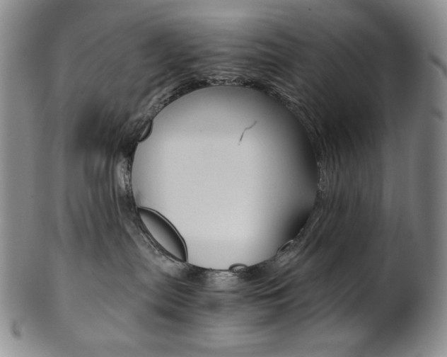 X0000101680287200807101152