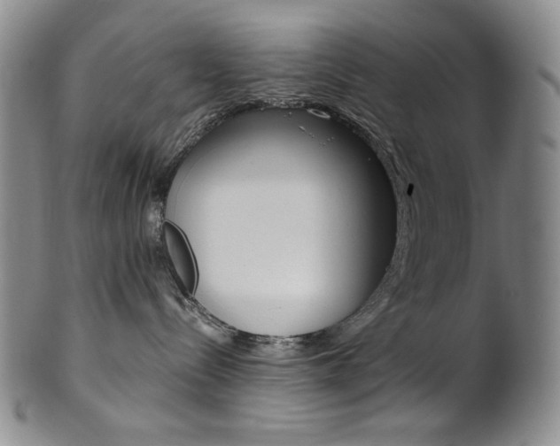 X0000101680288200807101152