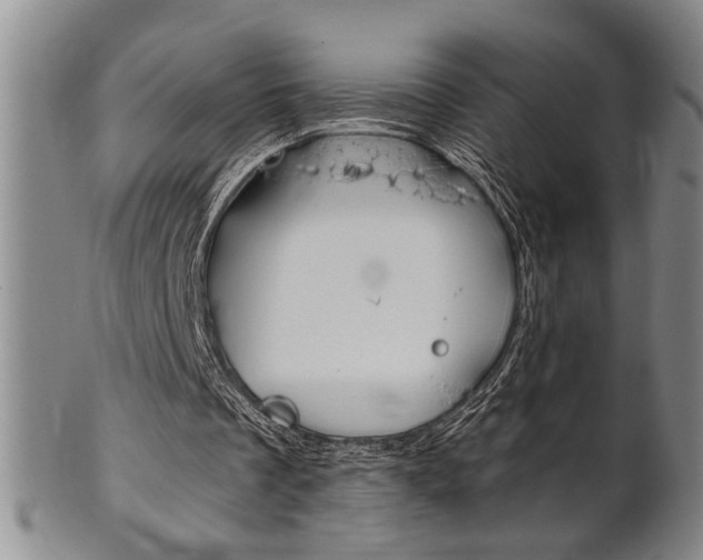 X0000101680289200807101151