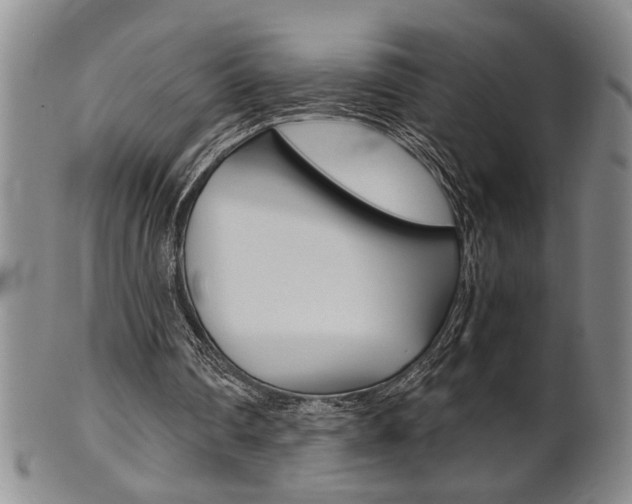 X0000101680290200807101151