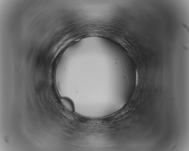 X0000101680291200807101151