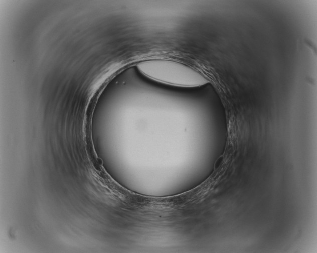 X0000101680292200807101151