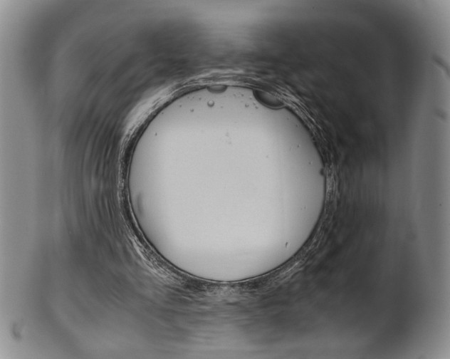 X0000101680293200807101151