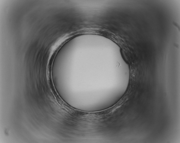 X0000101680294200807101151