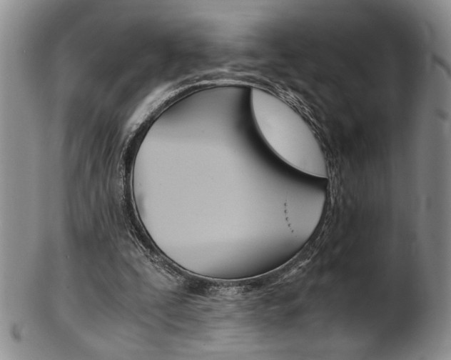 X0000101680295200807101151