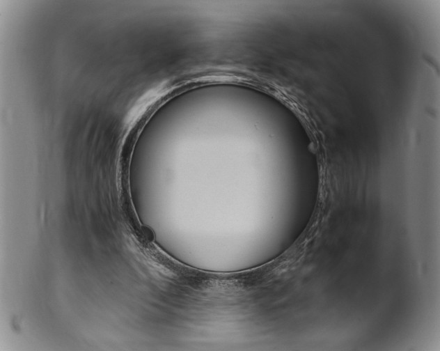 X0000101680296200807101151