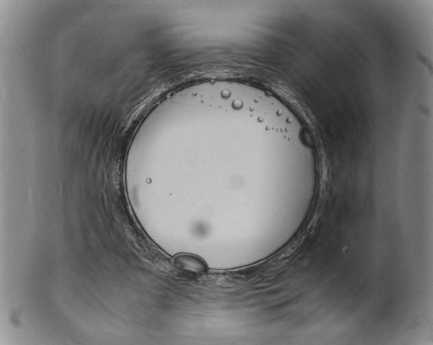 X0000101680297200807101151