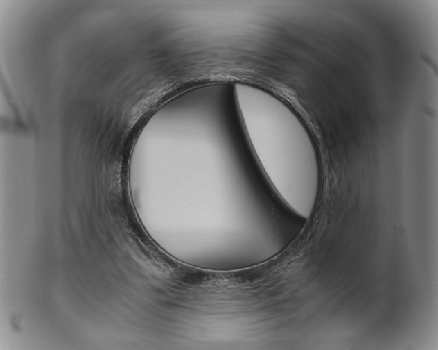 X0000101680299200807101151