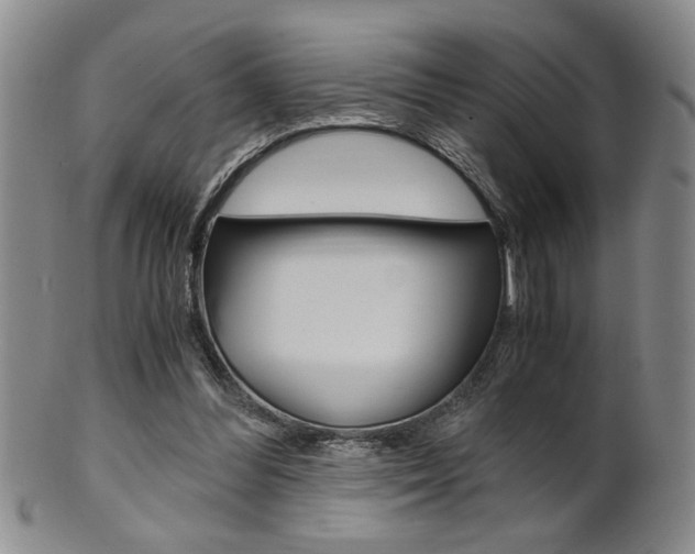 X0000101680300200807101151