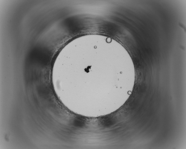 X0000101680301200807101151