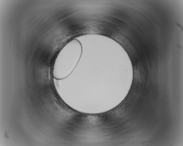 X0000101680302200807101151