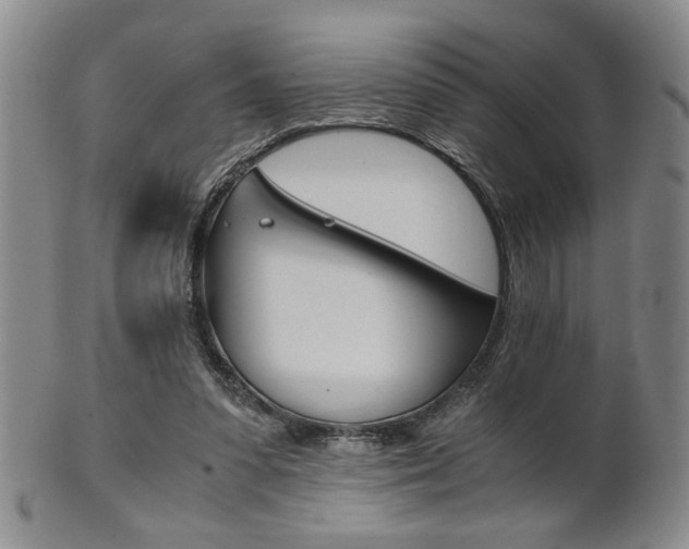 X0000101680303200807101151