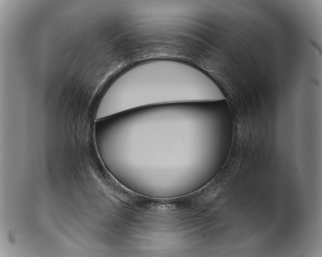 X0000101680304200807101151