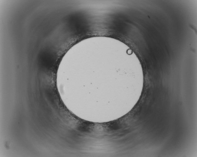 X0000101680305200807101151