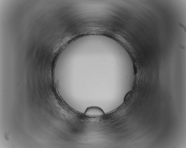 X0000101680306200807101151