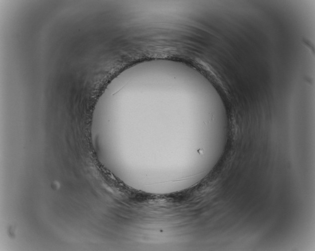 X0000101680307200807101151