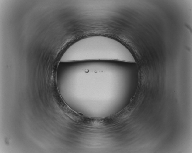 X0000101680308200807101151