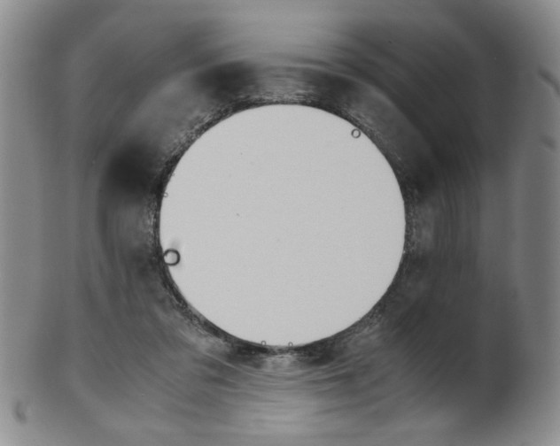 X0000101680309200807101151