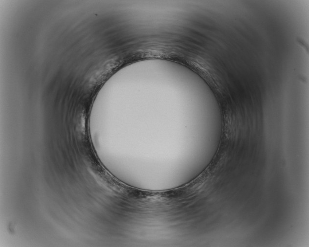 X0000101680310200807101151