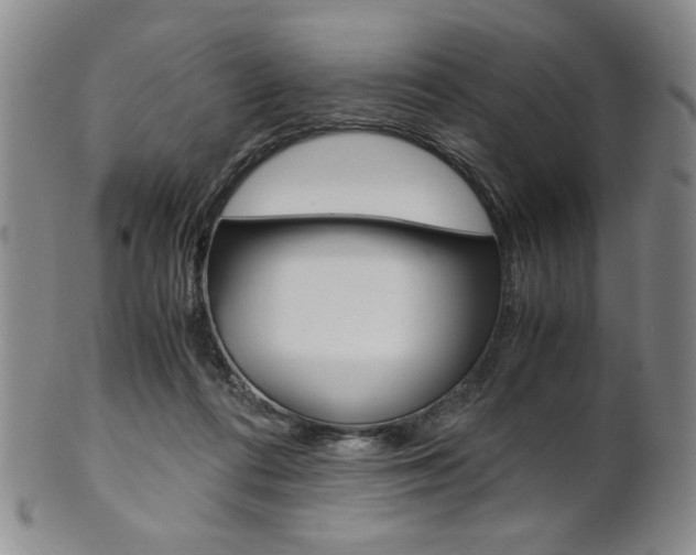 X0000101680312200807101151