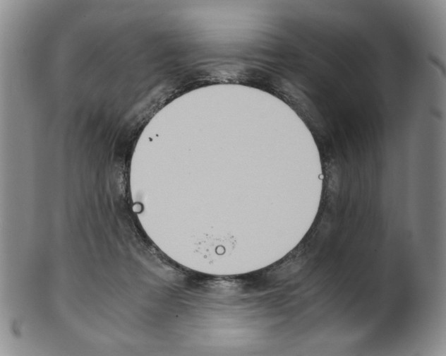 X0000101680313200807101151