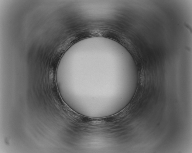 X0000101680314200807101150