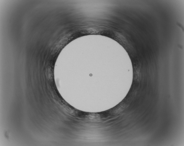 X0000101680317200807101150