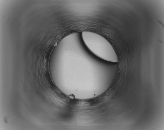 X0000101680319200807101150