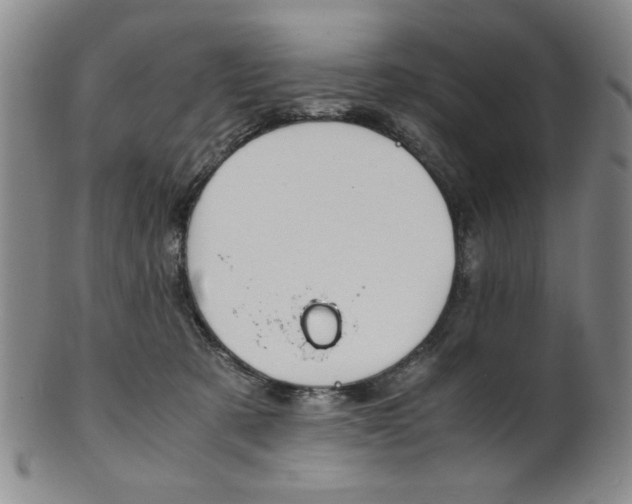 X0000101680321200807101150