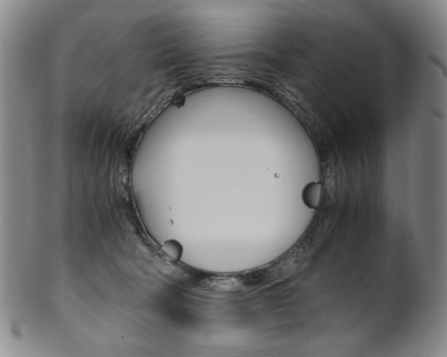 X0000101680322200807101150