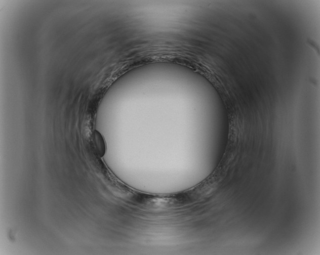 X0000101680323200807101150