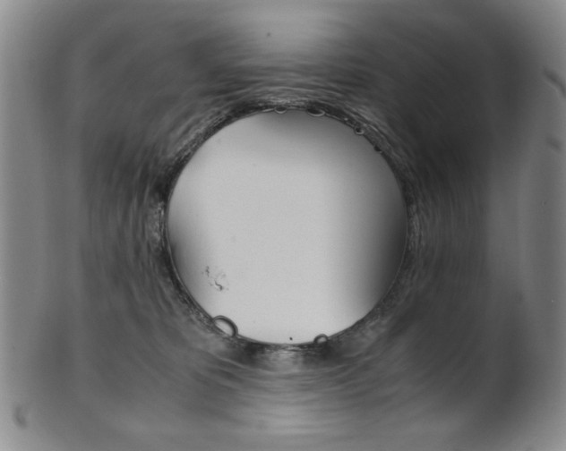 X0000101680325200807101150