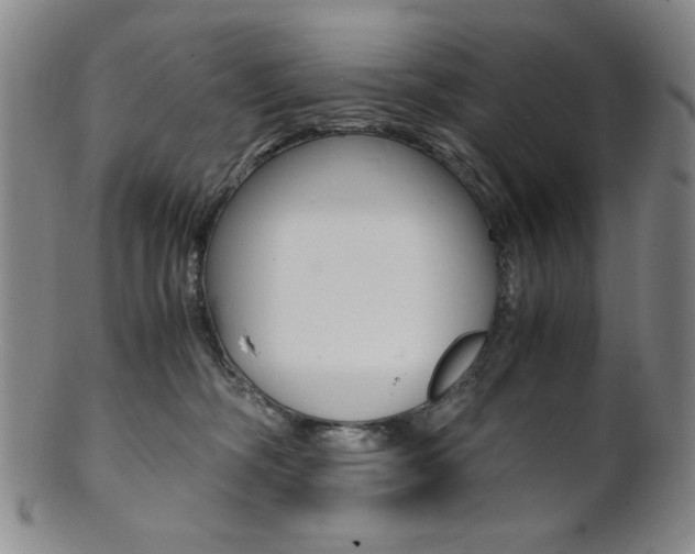 X0000101680326200807101150