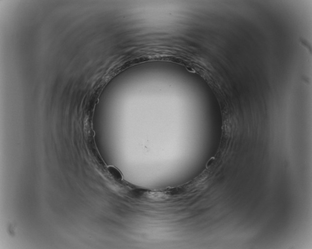 X0000101680327200807101150